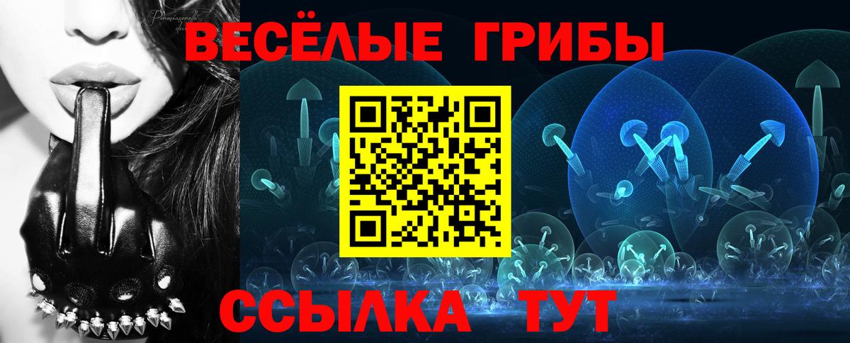 как найти закладки  Вход с VPN  Мичуринск  Галлюциногенные грибы MAGIC MUSHROOMS 
