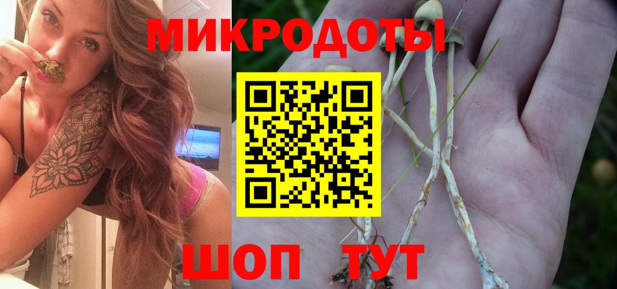 Псилоцибиновые грибы Psilocybine cubensis Мичуринск